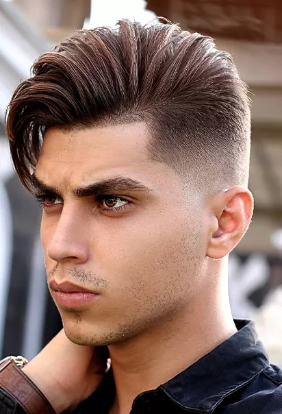 لو فید